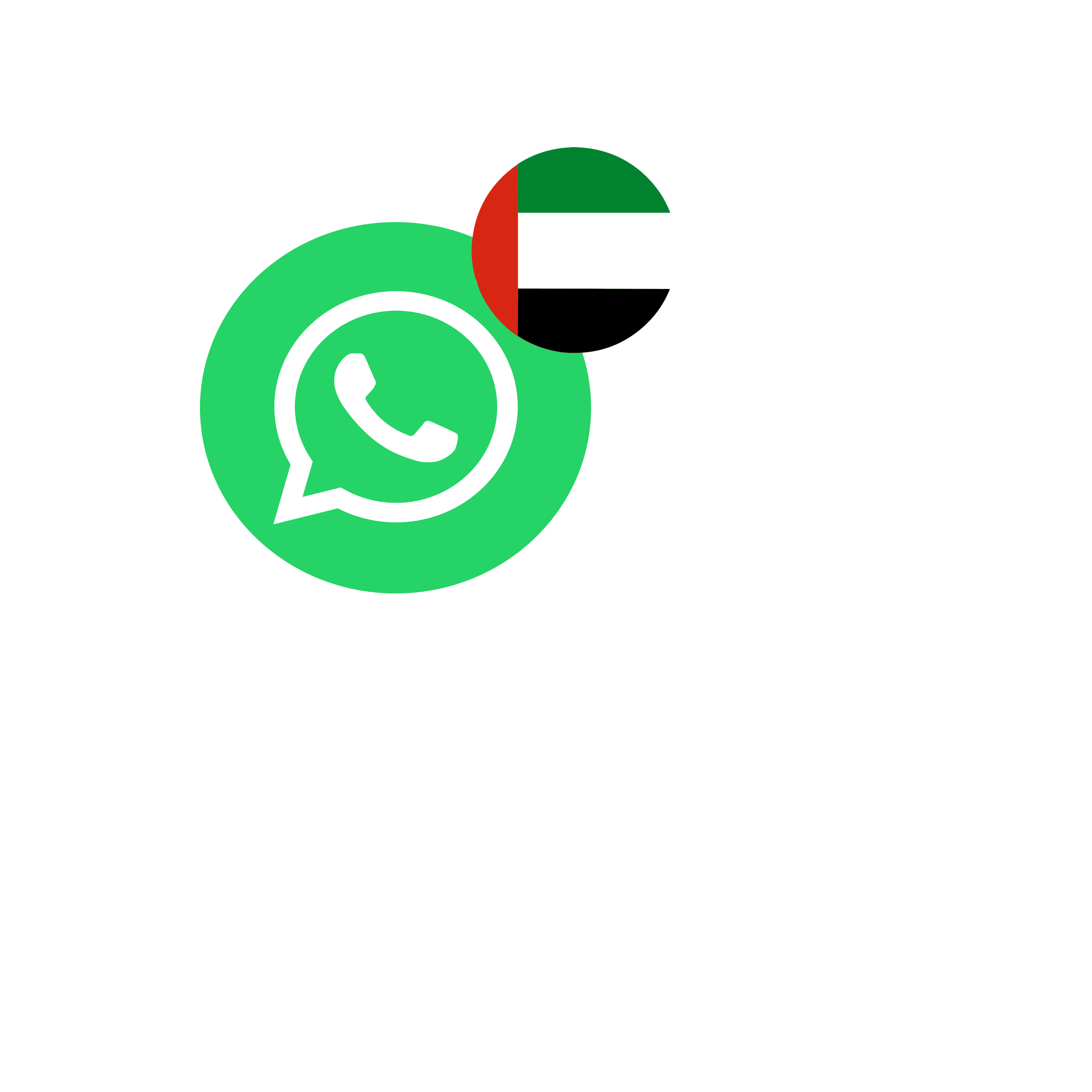 what's app icon