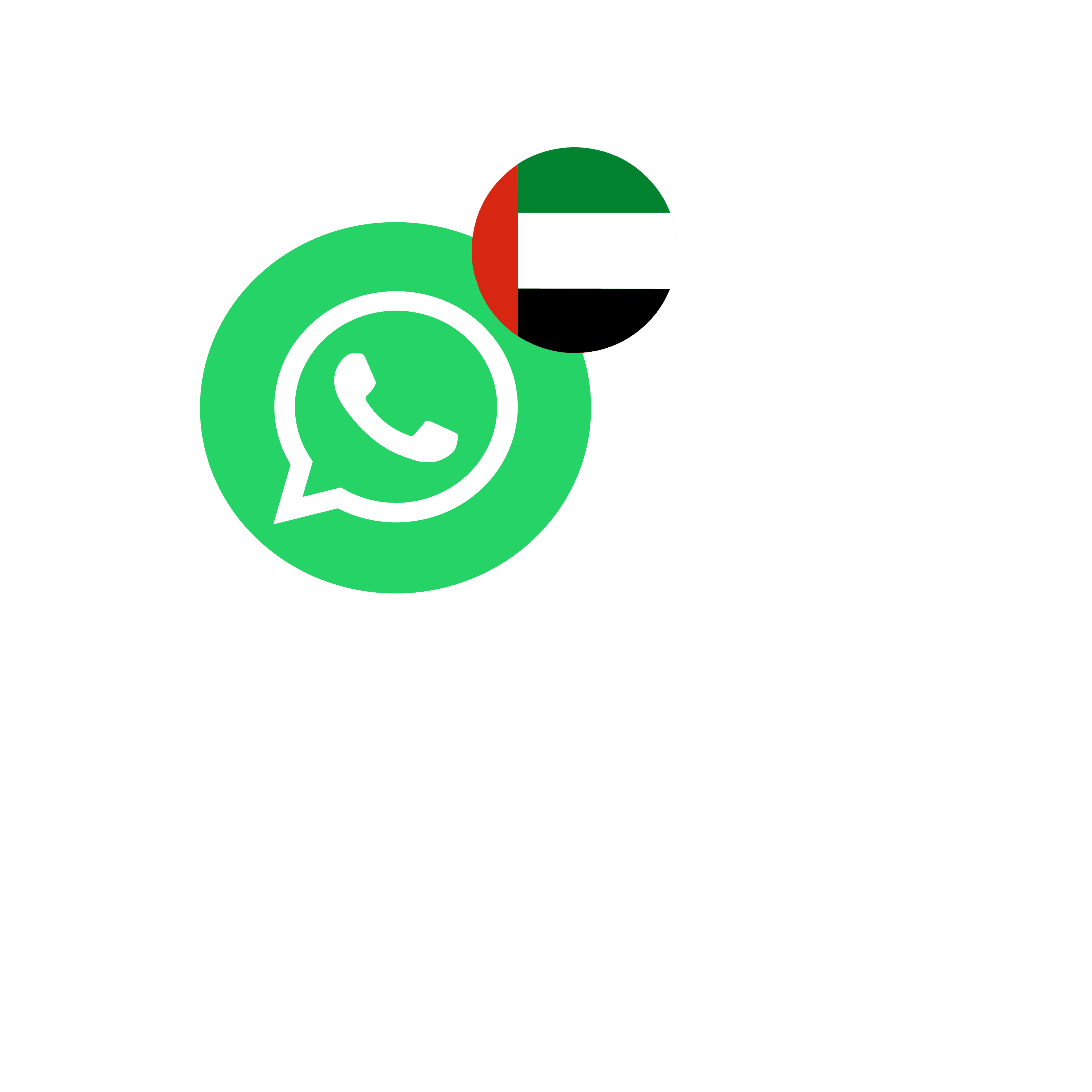 what's app  icon